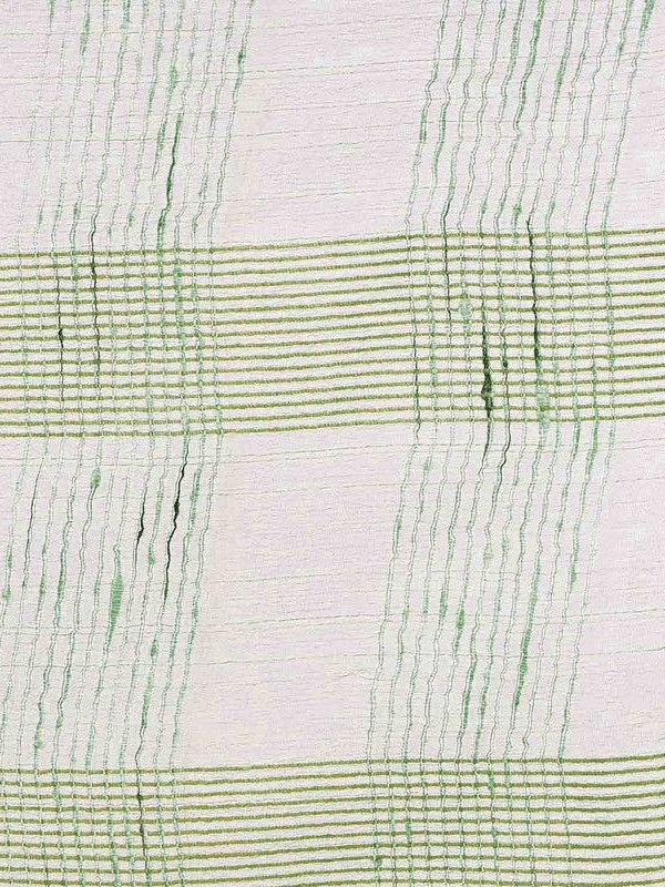 Pistachio Green women's Bhagalpuri Kota Doria Silk Semi Transparent Saree With Unstiched Blouse Piece - View 4