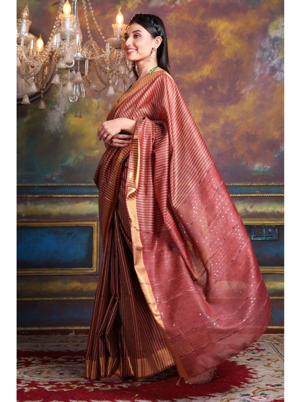 Cotton Silk Striped Sequin Pallu Handloom Saree (Maroon_Red) - View 2