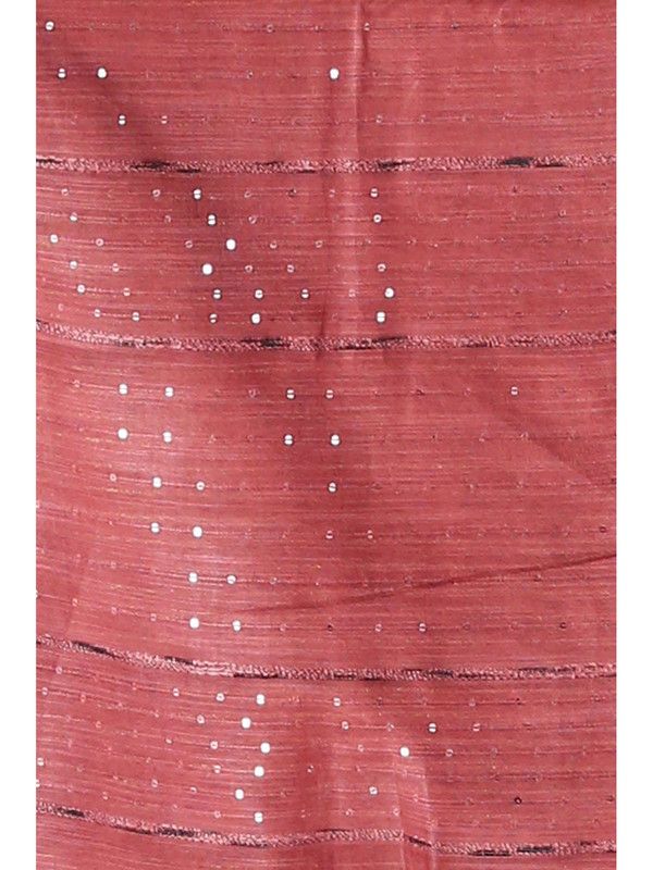Cotton Silk Striped Sequin Pallu Handloom Saree (Maroon_Red) - View 4