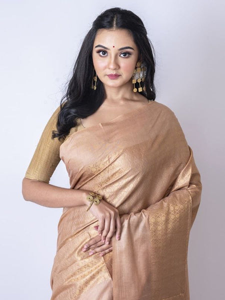 Cotton Munga Silk Zari Weaving Designer Handloom Saree with Mixed Pattern (Brown) - View 3
