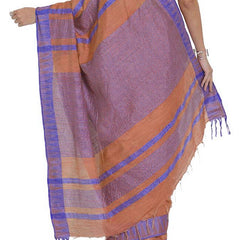 Bhagalpuri Handloom Kota Silk Temple Border Saree And Variation Of Colors With Striped Blouse Piece - View 6