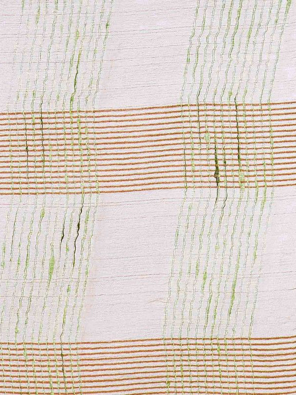 Citron Green women's Bhagalpuri Kota Doria Silk Semi Transparent Saree With Unstiched Blouse Piece - View 4