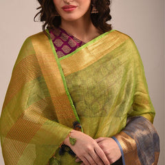 Handloom Bhagalpuri Tissue Linen Two Dye Saree - View 3