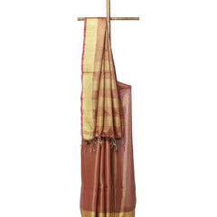 Linen Tissue Handloom Gold Zari Border Bhagalpuri Brown Saree